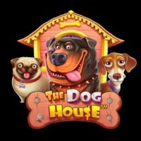 The Dog House Dog or Alive