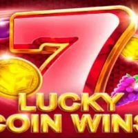 Lucky Coin Wins Review